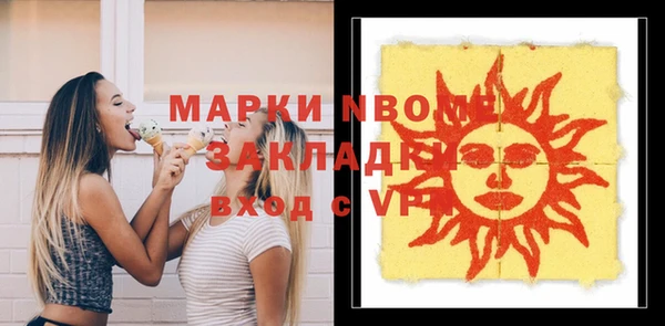 шишки Арсеньев