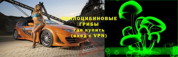 шишки Арсеньев