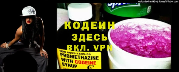 шишки Арсеньев