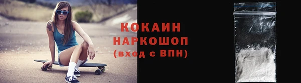 шишки Арсеньев