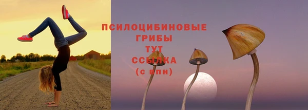 соль курить ск Аркадак