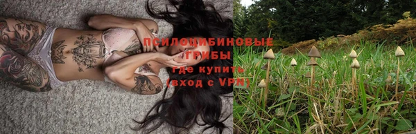 соль курить ск Аркадак