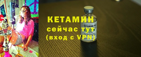 шишки Арсеньев