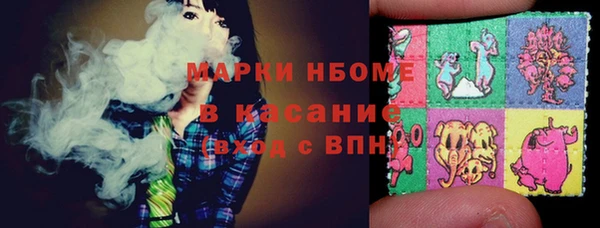 шишки Арсеньев